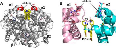 X-ray crystallography and sickle cell disease drug discovery—a tribute to Donald Abraham